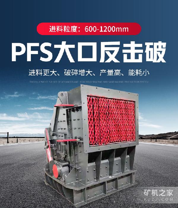 PFSڷ豸