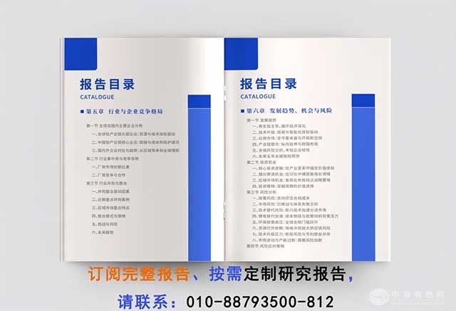 Ǧҵչ棨2025ذ