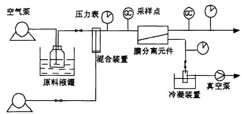 Ĥ뷨豸