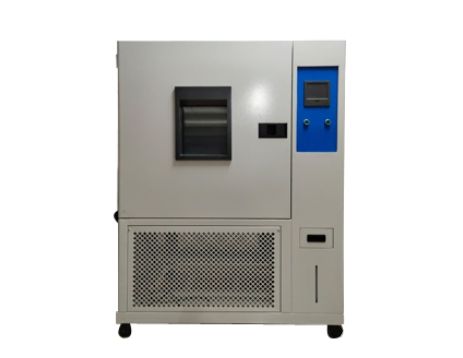 1000ºʪ